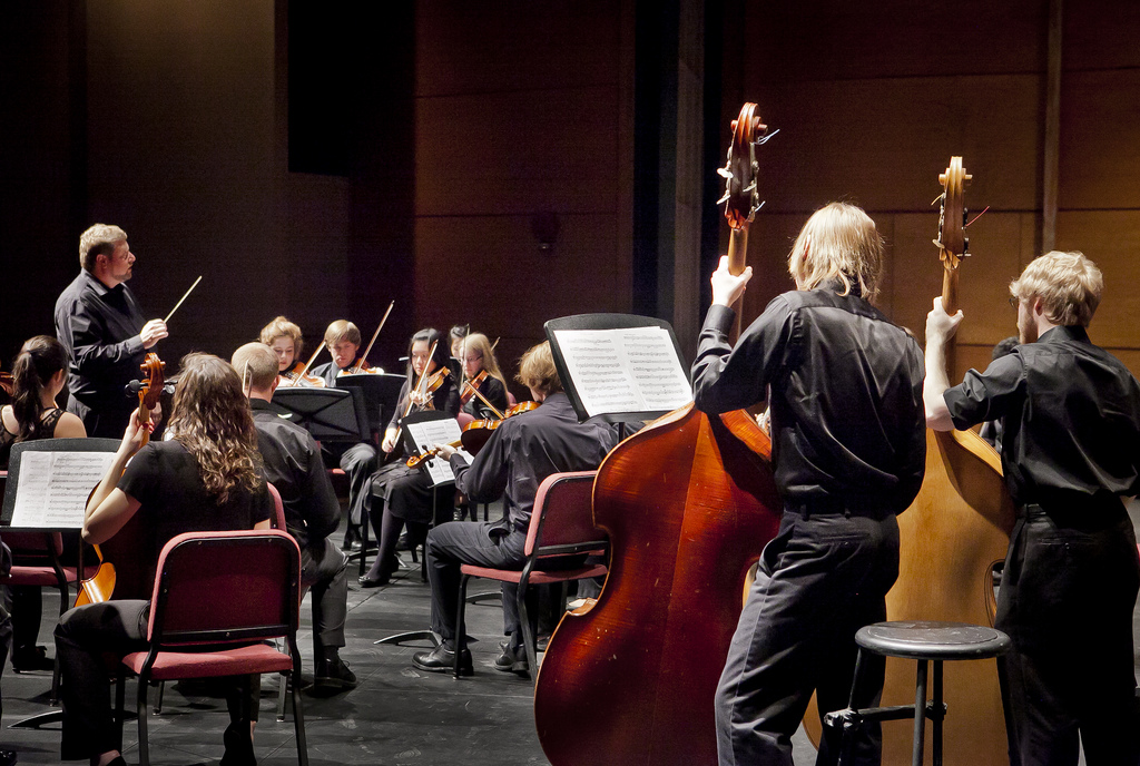 Chamber orchestra